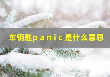 车钥匙p a n i c 是什么意思